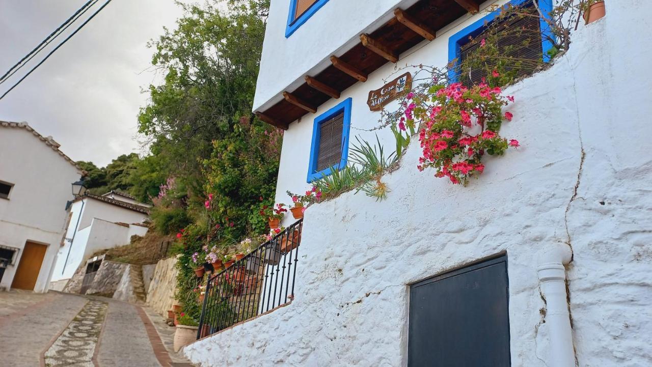 Villa Casa El Olivo By Casaturistica à Benalauría Extérieur photo
