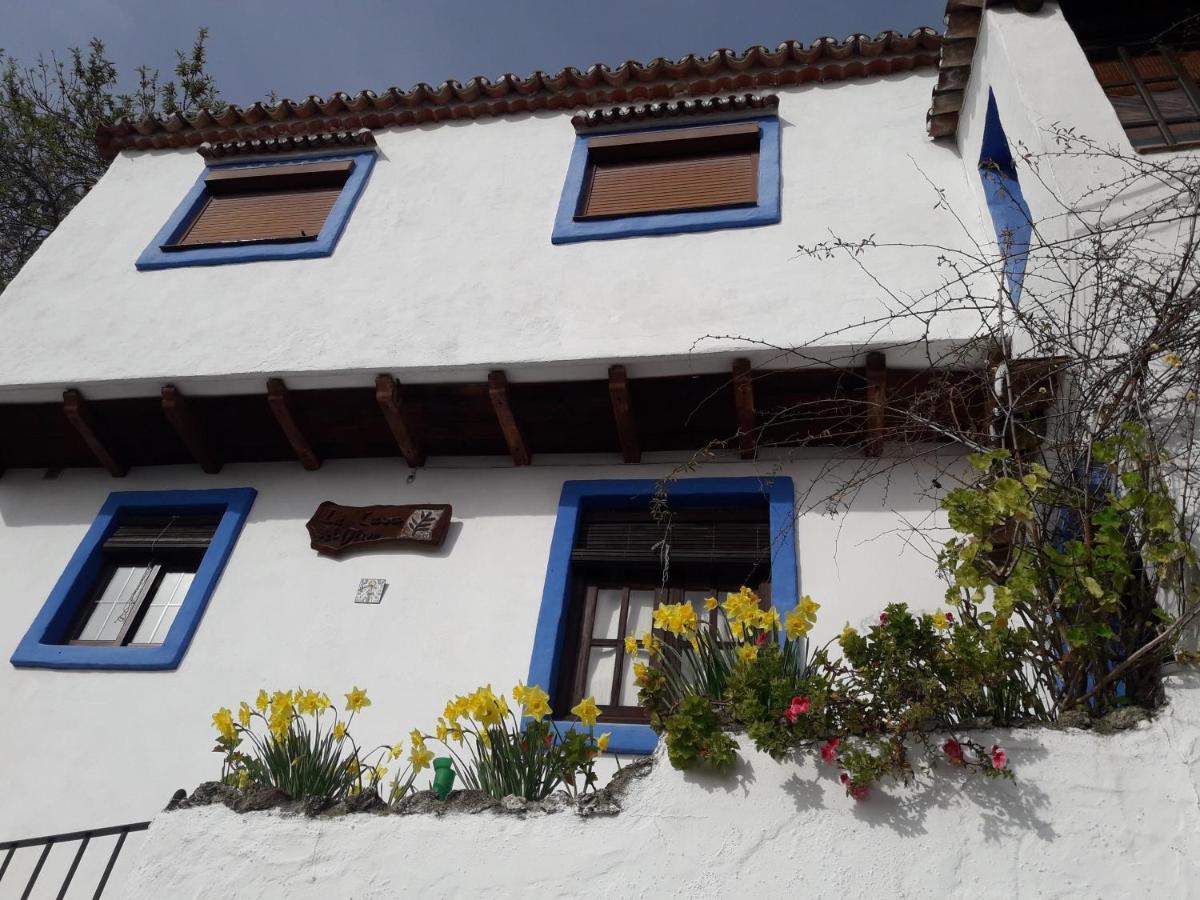 Villa Casa El Olivo By Casaturistica à Benalauría Extérieur photo
